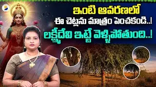 ఇంట్లో పెంచకూడని చెట్లు || Plants that are not Recommended by Vaastu || Bhakthi Nivedana
