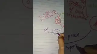 Cell cycle|cell cycle diagram| cell division|NJ Zoology Class|#shorts