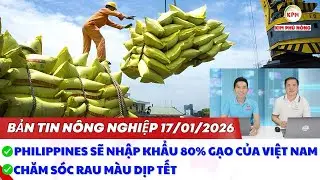 Bản tin nông nghiệp ngày 17/01/2026: lưu ý chăm sóc rau màu phục vụ Tết