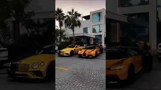 💫 Billionaire Lifestyle in Dubai 💎🌟 #millionaire #millionairevibes #luxurylifestlye