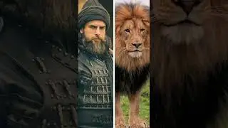 Usman cast animal