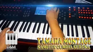DEMO SAMPLES CUMBIA SURE&Ntilde;A - YAMAHA MONTAGE