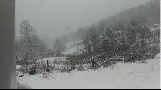 01-06-2022 - Snow Storm Central Kentucky