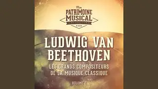 La bataille de Vittoria : Final, allegro-presto-andante