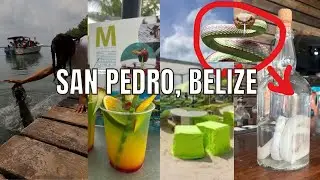 Trying the viper shot in San Pedro Belize and it took me out😐🥹