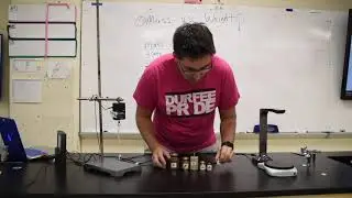 Mass vs  Weight Lab - Data Collection - Durfee Physics