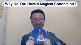 Why Do You Have a Magical Connection?