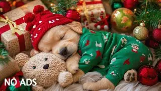 12 Hours of Dog Calming Music 🐶🎵Separation Anxiety Relief Music 💖Christmas Night Sleep 🎄✨