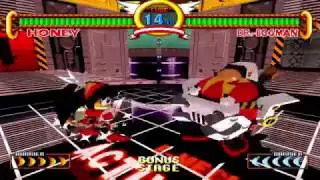 Sonic the Fighters: Ten Second Battle challenge: Honey the Cat