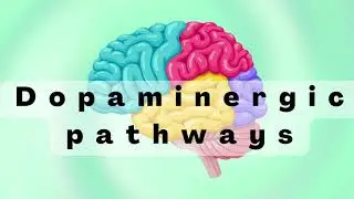 Dopamine Pathways, Antipsychotics, and EPS