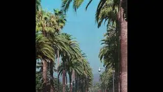 (FREE) Pop Punk x MGK x lil aaron Type Beat - Palm (Prod. JD Rome)
