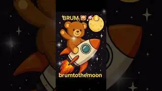 BRUM TO THE MOON 🐻🚀🌕