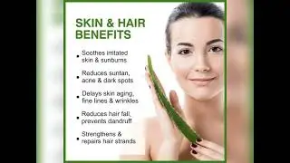 Aloe vera#barbadensis #scientific benefits 