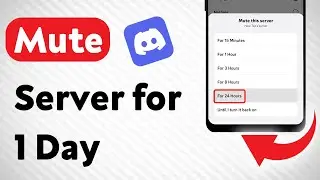 How to Mute a Discord Server for 1 Day on Mobile (Updated)