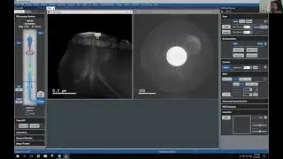 Live EELS Analysis Using CEMAS Samples