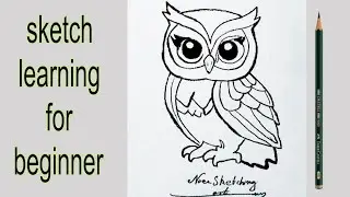 Cute Owl Pencil Drawing | Easy Bird Sketch | Noor Sketching Art