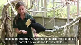 The Keeper's Course | The Zookeeper and Aquarist Apprenticeship