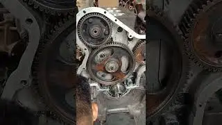 MASSY fargusion  245 Timing  setting  simple Tarika #tractor #tractorindia