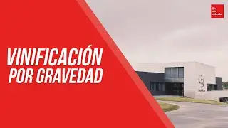 Vinificaci&oacute;n por gravedad | En un minuto