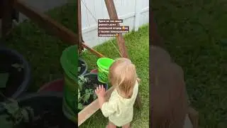 Помощник🥹❤️#garden#shortsvideos #дети#воспитание#путешествия #отношения #детииродители#помощь