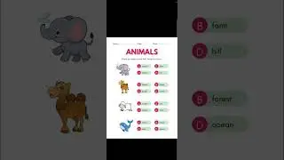 How Animals Move (and Why It Matters)#how animals walk