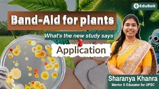 Band-Aid for plants What's the new study says | EduBolt | By Sharanya Khanra