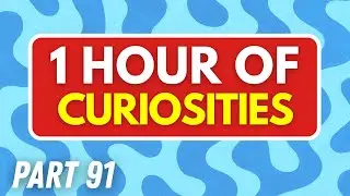 1 HOUR of Mind-Blowing CURIOSITIES About the World