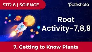 Root Activity-7,8,9 | 7 Getting to Know Plants | Science | Class 6