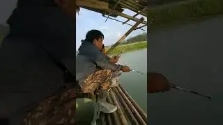 #shorts mancing di akhir pekan gais