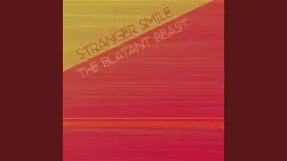 Stranger Smile
