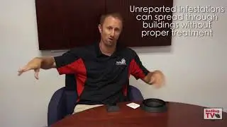 Using Bed Bug Monitors in Housing Authorities