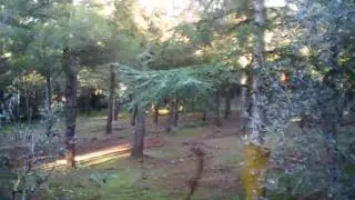 dylan big jump 2,30M !!!!