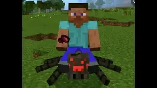 There is a spider on my A$$