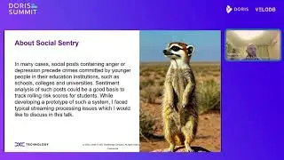 Architecture Problems of Streaming AI Pipelines (with Doris): Public Social Posts Sentiment Analysis