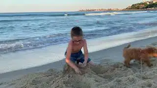 Cuccioli al mare/Mece barboncino prima volta al mare/scava nella sabbia/poodle/ funny video/пуделтой