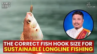 Angelo Macario, PhD: The correct fish hook size for sustainable longline fishing
