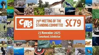 79th Meeting of the CITES Standing Committee - Afternoon (November 23)