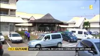 Exp&eacute;rimentation d'un s&eacute;rum anti-venin - Guyane 1&egrave;re