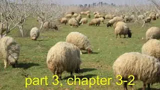 Part 3, Chapter 3-2 - The Nazarene (Sholem Asch)
