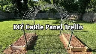 DIY Cattle Panel Trellis | Easy Garden Arch Build for Climbing Veggies #trending #garden #youtube
