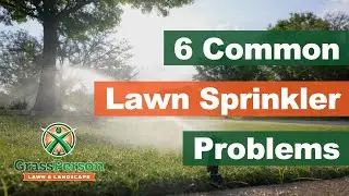 6 Common Sprinkler System Problems with Actionable Tips for North Texas