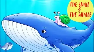 The Snail & The Whale | Moral/Mystery/Short stories for Kids | Bedtime  Children Stories
