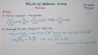 Genel Kimya 2- Bölüm 26-Organik Kimya/Aminlerin Eldesi, Tepkimeleri ve Kullanım Alanları