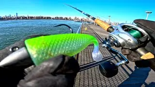 Winter East River Fishing NYC