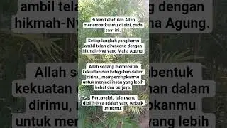 #shorts #shortvideo #motifasi #katakatabijak #religion #viral