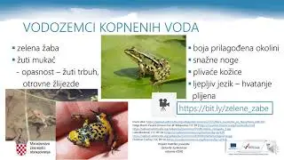 Priroda 6.r. - Živa bića kopnenih voda, 2.dio