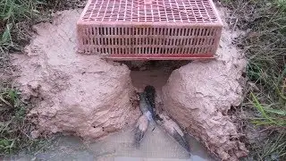 Who Know This Fishing? Best Fish\Crab Trap Using Deep Hole & Plastice Basket Make By Smart Children