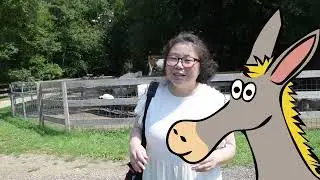Freedom Farm Animal Rescue, Cedarville NJ, USA (A Place for Animals in Need)
