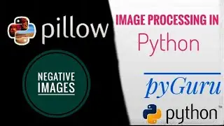 PIL | Negative images | Inverting image color | pyGuru