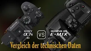 Sony A7R IIIA vs. Olympus OM-D E-M1X: Ein Vergleich der technischen Daten